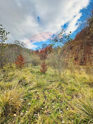 Teren 4,877mp Mara / Strada Principala - imagine 7