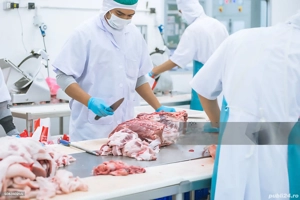 locuri de muncă la fabrica de carne în Germania 