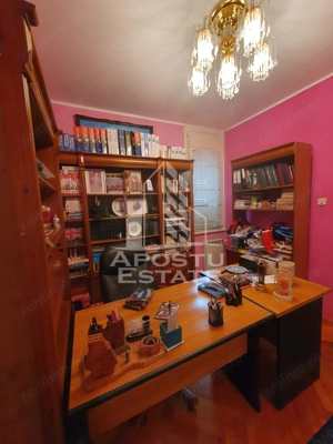 Casa individuala pretabila pentru pensiune, Giarmata - imagine 11