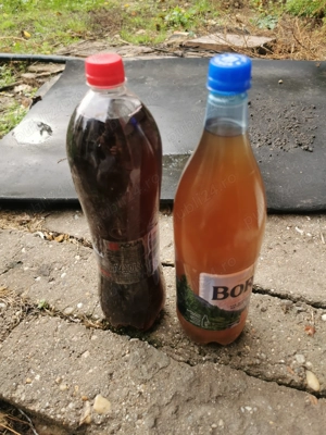 Vând vin alb și rosu 2025