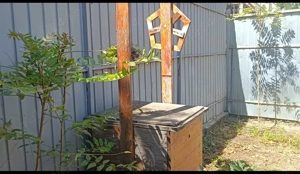 Casa și teren 289mp de vânzare sector 3