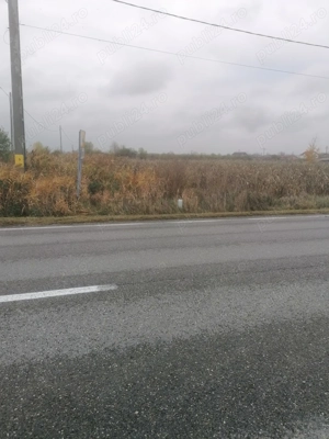 Teren de vânzare Săcueni Dambovita, situat lângă Târgovişte. - imagine 3