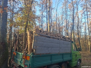vând lemne de foc esență tare cer,fag,carpen,stejar cantitate garantata  transport gratuit  lemnele 