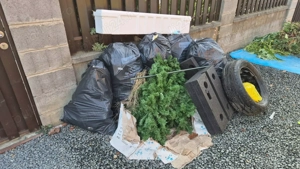 Debarasari si transport mutari , relocari mobila,deșeuri reciclabile cartoane ,lemne, saltele ,pat   - imagine 4