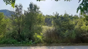 Teren superb Vâlcanesti PH - imagine 6