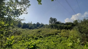 Teren superb Vâlcanesti PH