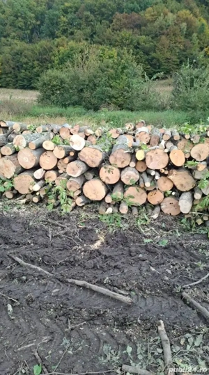 vand lemne de foc esenta tare transport la domiciliu - imagine 2