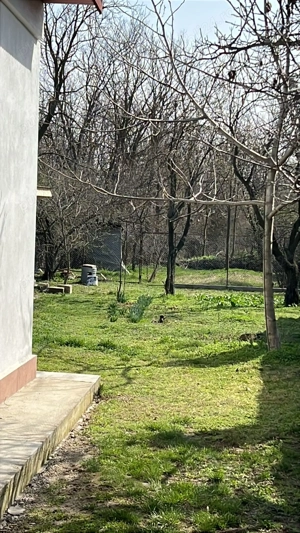 Vând Casă Crivina Jud Giurgiu - imagine 2