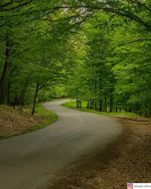 vand teren platoul TEISANI granita cu Slanic Prahova, 2 parcele 1000mp