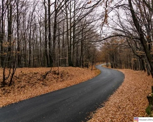 vand teren platoul TEISANI granita cu Slanic Prahova, 2 parcele 1000mp - imagine 3