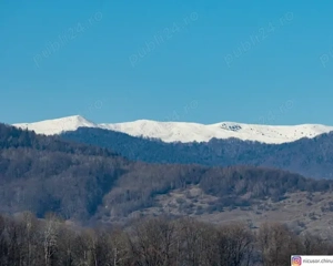 vand teren platoul TEISANI granita cu Slanic Prahova, 2 parcele 1000mp - imagine 5