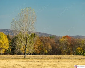 vand teren platoul TEISANI granita cu Slanic Prahova, 2 parcele 1000mp - imagine 2