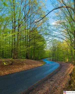 vand teren platoul TEISANI granita cu Slanic Prahova, 2 parcele 1000mp - imagine 8