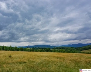 vand teren platoul TEISANI granita cu Slanic Prahova, 2 parcele 1000mp - imagine 6