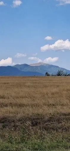 vand teren platoul TEISANI granita cu Slanic Prahova, 2 parcele 1000mp - imagine 10