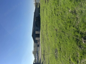 Vand Ferma superba Giurgiu  - imagine 10