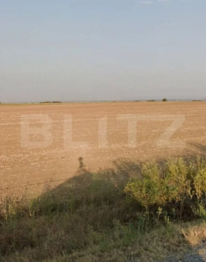 Oportunitate Investitie Teren Deschidere 30mp  ,Carcea, Zona Depozit Lidl