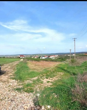 Vând teren intravilan în sat Paleu  - imagine 3