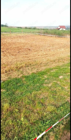 Vând teren intravilan în sat Paleu  - imagine 4