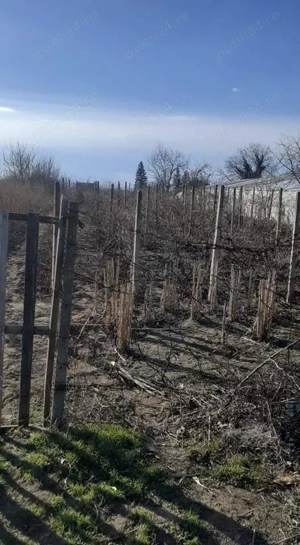 Teren - strada principala 2120 Liesti - imagine 3