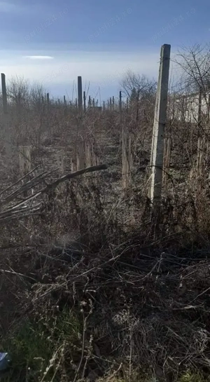 Teren - strada principala 2120 Liesti - imagine 2