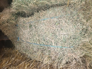 Baloți de lucernă  - imagine 6