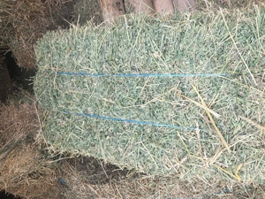 Baloți de lucernă  - imagine 4