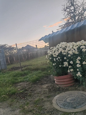  Teren de vânzare   806 mp, Bacau, Izvoare, Str. Cireșoaiei - imagine 3