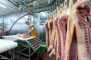 locuri de muncă la fabrica de carne în Germania 