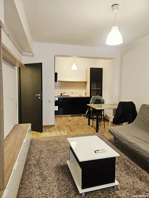 Apartament 2 camere open-space, bloc 2013, Sector 2 - imagine 3