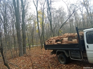 vând lemne de foc stejar uscate nr  