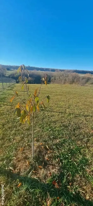 Panoramă de vis-Teren intravilan 3054mp - imagine 2