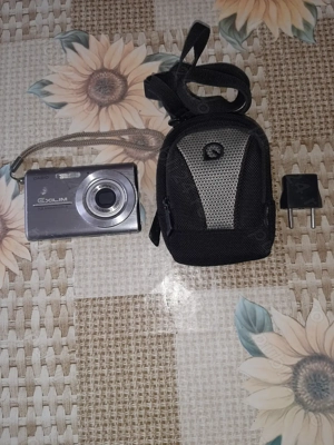 Aparat foto CASIO Exilim 