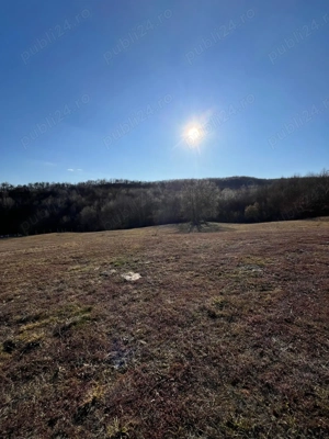 Vand teren in localitatea Lugasu de Sus, jud. Bihor la 41 km de Oradea - imagine 6