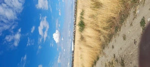 Teren văinzare mofleni