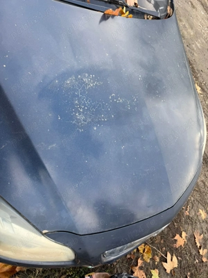 Opel insignia sports tourer full  - imagine 5