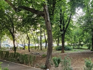 Drumul Taberei,  Mall Plaza, str Brasov, Parc, Piata Moghioros, etaj 7 din 10 bl tip Z, buc mare, 