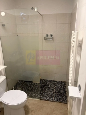 Casa 1 camera 33mp curte 50mp zona Metrou Tineretului COMISION 0 - imagine 5