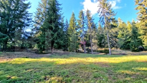  Teren 1.700 mp – lângă liziera pădurii, utilități, zonă de cabane – Mărișel