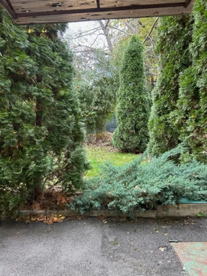 De inchiriat spatiu, demisol inalt, suprafata de 95 mp, Bv. Mihai Viteazu - imagine 6