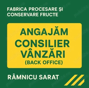 Consilier Vanzari (back office )