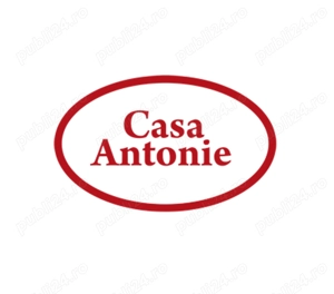 Contabil   Economist   cu experienta pe productie