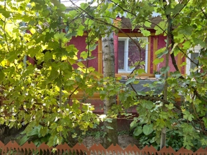 Casa Cosmesti Deal județul Galați - imagine 9