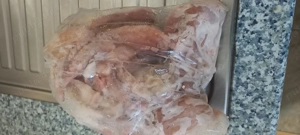 Oase și carne pentru ciini