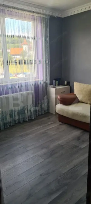 Apartament semidecomandat, 2 camere, boxa, aer conditionat, zona Stejarului - imagine 8