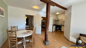 Transilvania Camping,domeniu de 14.400mp,Sanmarghita de Mures:2cladiri, apartamente,potential except - imagine 19