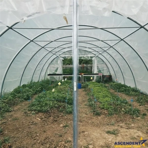 Transilvania Camping,domeniu de 14.400mp,Sanmarghita de Mures:2cladiri, apartamente,potential except - imagine 20