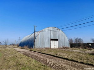 Proprietar vând teren intravilan la Dudeștii Noi 147000 euro - imagine 4