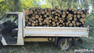 Lemn salcâm  - imagine 4