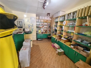 Garsoniera in Nicolina